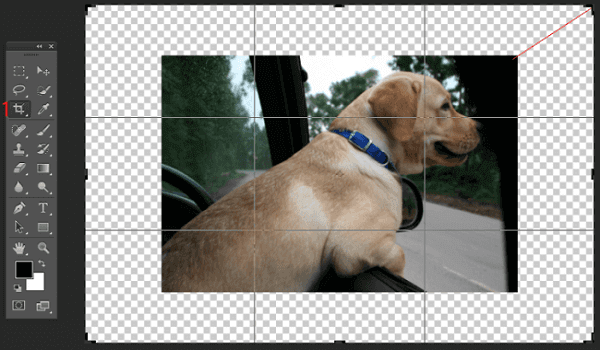 przycinanie obrazu w Photoshopie