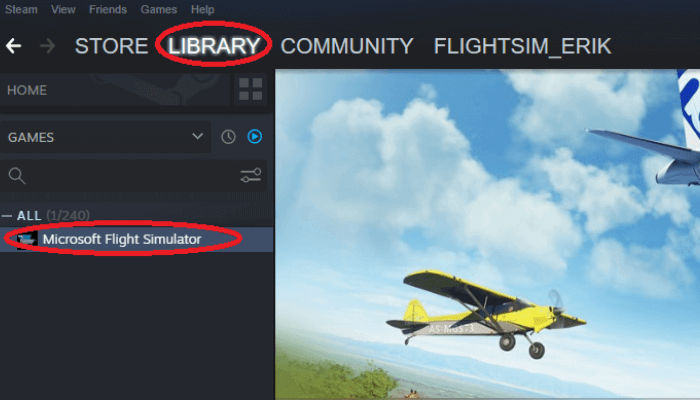 Darmowe pobieranie Microsoft Flight Simulator przez Steam - 5