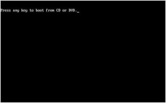 uruchom ponownie z DVD i naciśnij dowolny klawisz