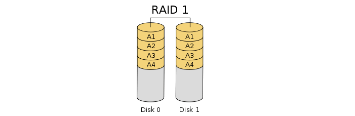 image of raid 1